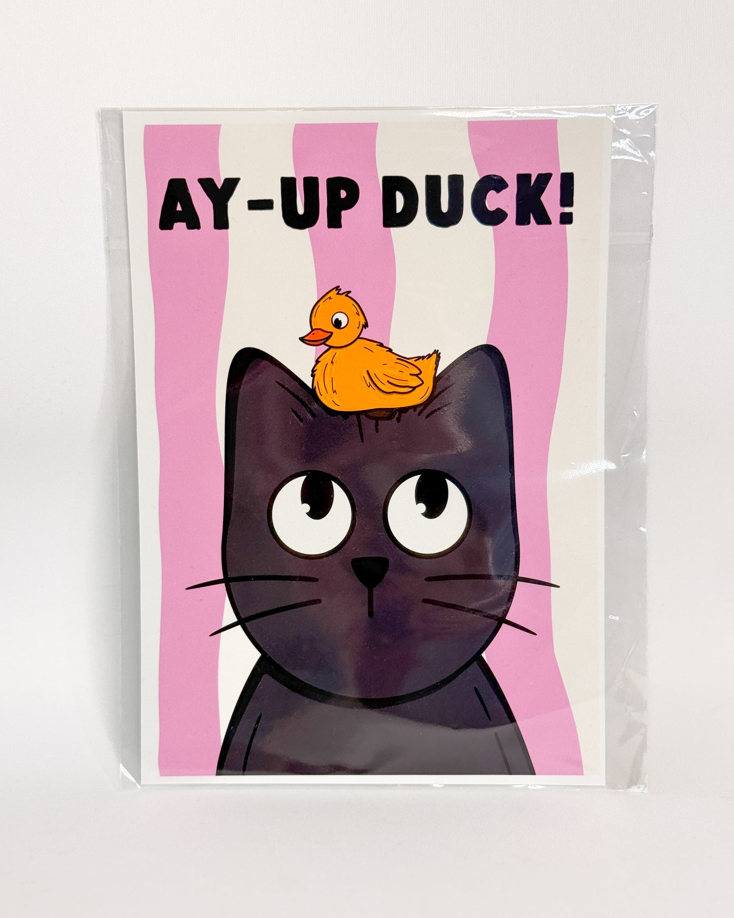 AY-UP DUCK BLACK CAT PRINT