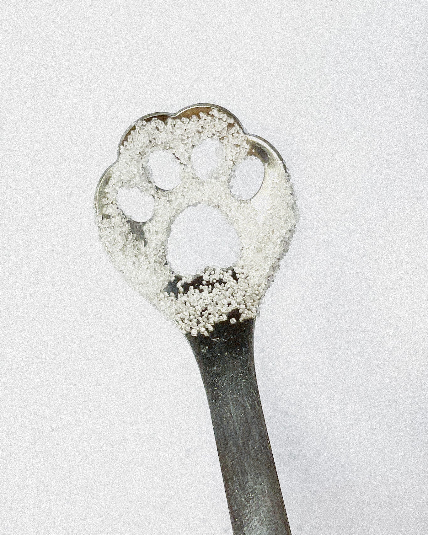 CAT PAW TEASPOON